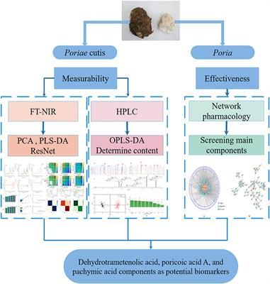 Practical Qualitative Evaluation and Screening of Potential Biomarkers for Different Parts of Wolfiporia cocos Using Machine Learning and Network Pharmacology